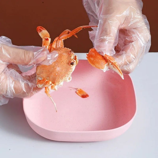 Plate Set Pack Of 10 – Plastic Split Bone Dish Plates With Holder | Durable Serving Plates (Random Colors)